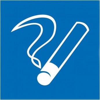 Наклейка информационный знак REXANT МЕСТО КУРЕНИЯ 100х100